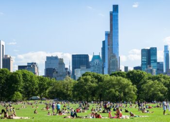 Crowded city park on a sunny day with a skyline of tall blue glass buildings behind the trees and people lounging on the grass.