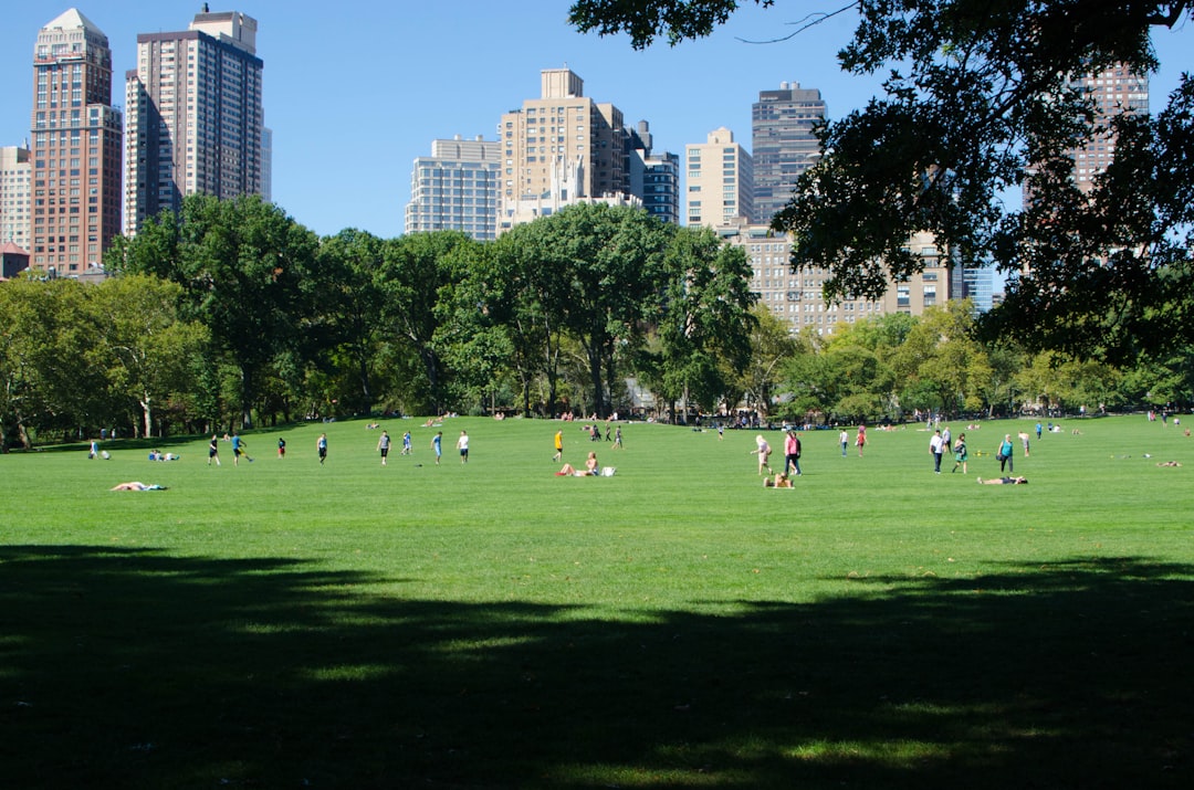 A group of people joins a free outdoor class, building a strong fitness routine in a shaded New York City park
