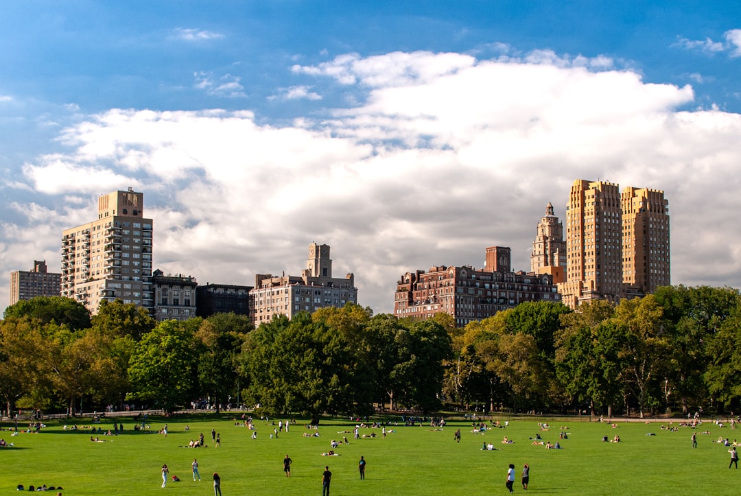 Fans gathered at a free FIFA World Cup fan zone in a New York City park during the final week