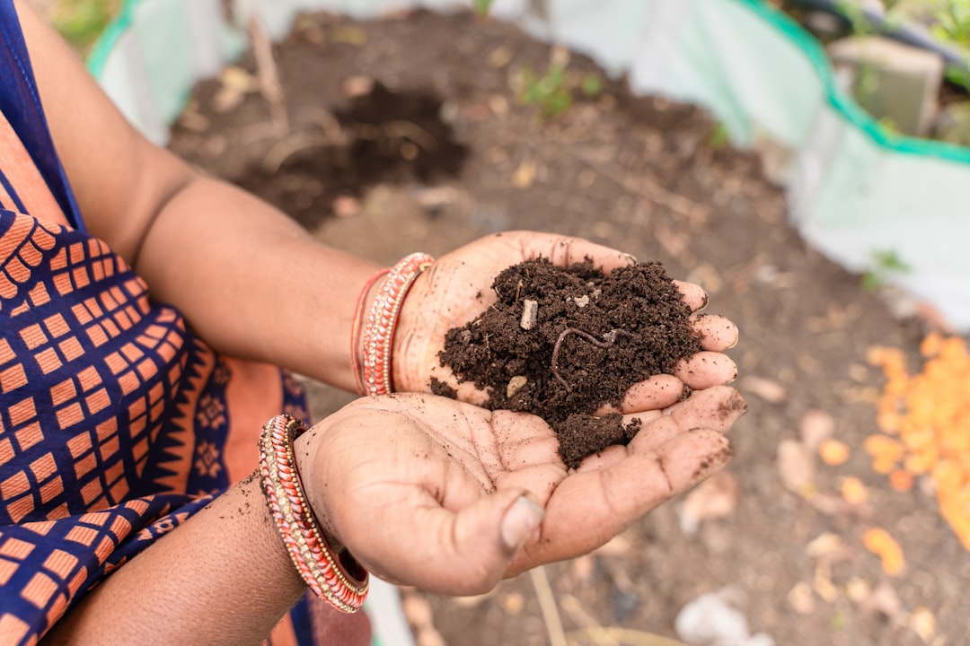 A woman checking finished soil in a worm bin, showing how apartment composting produces nutrient-rich compost.