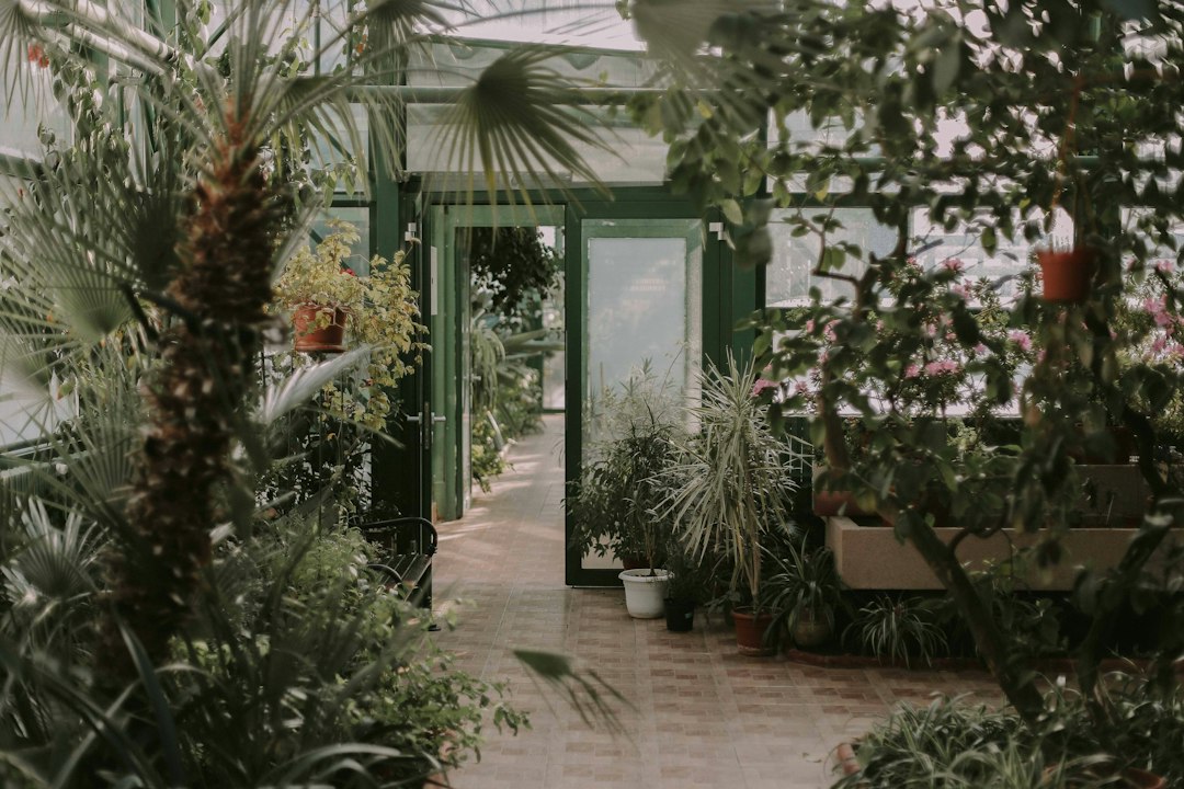 A family explores a glass conservatory inside one of New York City's botanical gardens in winter