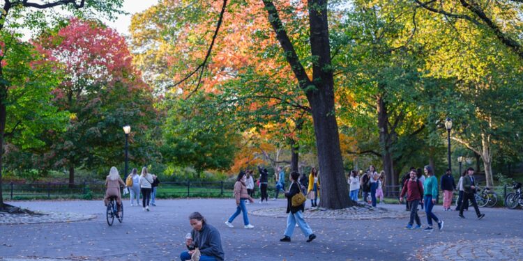woman-walking-central-park-autumn-leaves-unsplash - NYCwebzine A woman enjoys her autumn routine in New York City, walking through golden foliage in Central Park on a clear morning.