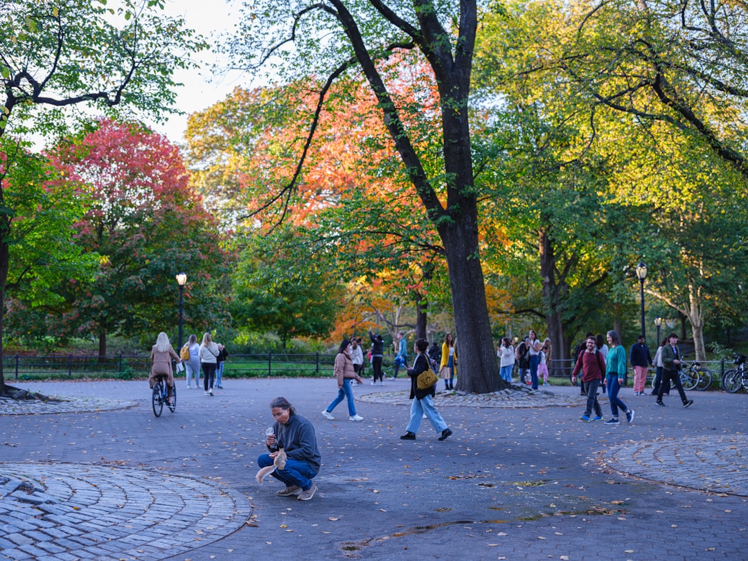 A woman enjoys her autumn routine in New York City, walking through golden foliage in Central Park on a clear morning.